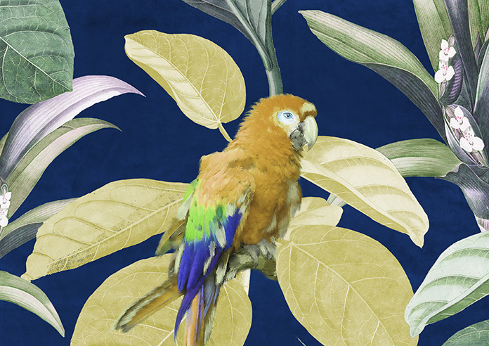 Parrot, Mangrove - Made to Measure Curtain - Image 9